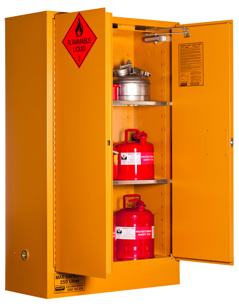 Positioning of Flammable and Corrosive Goods Storage DG Safety