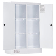 250L Polypropylene Corrosive Chemical Storage Cabinet - Dual Compartment